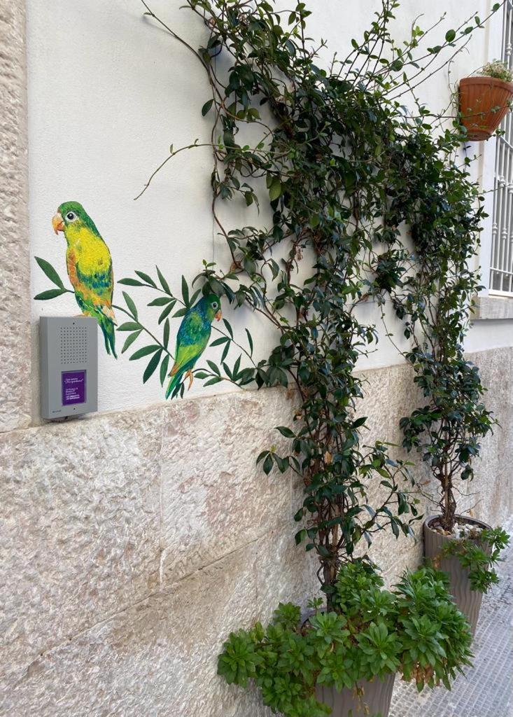 Iris Apartment Bisceglie Exteriör bild